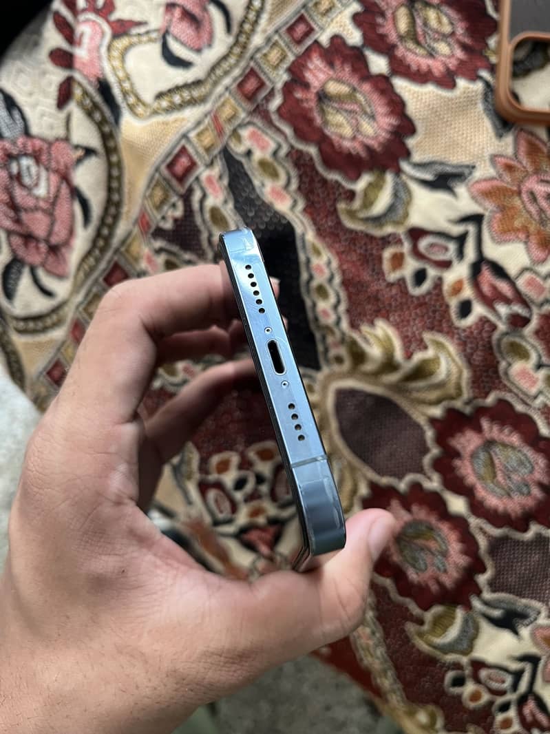 Apple iPhone 13 Pro Max 1