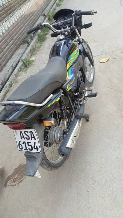 Hond pridor 2023 model 0333**1546**747