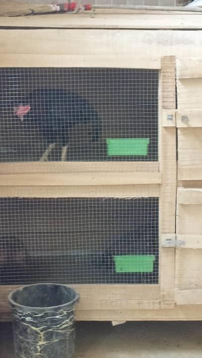 Hen cage for sale