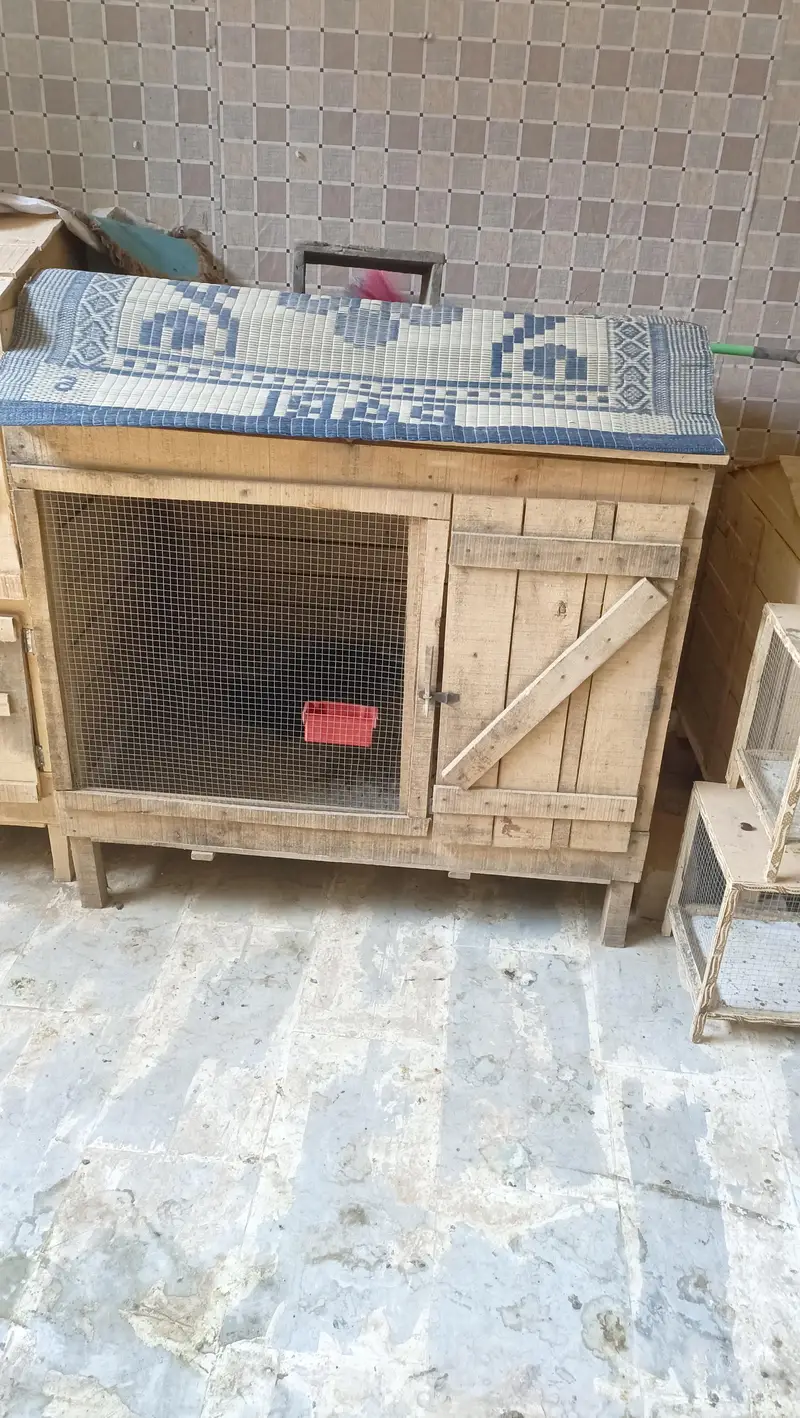 Hen cage for sale — photo 2