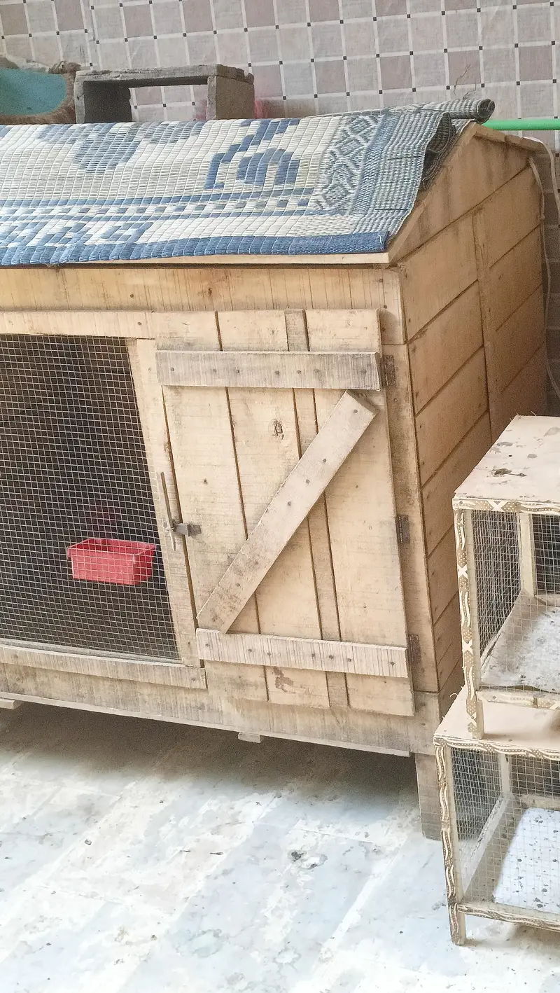 Hen cage for sale — photo 4