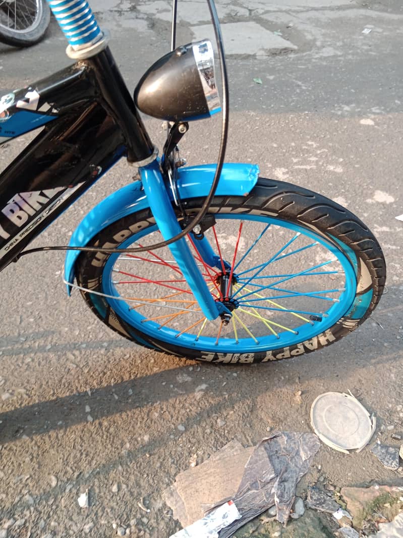 new biycycle 1