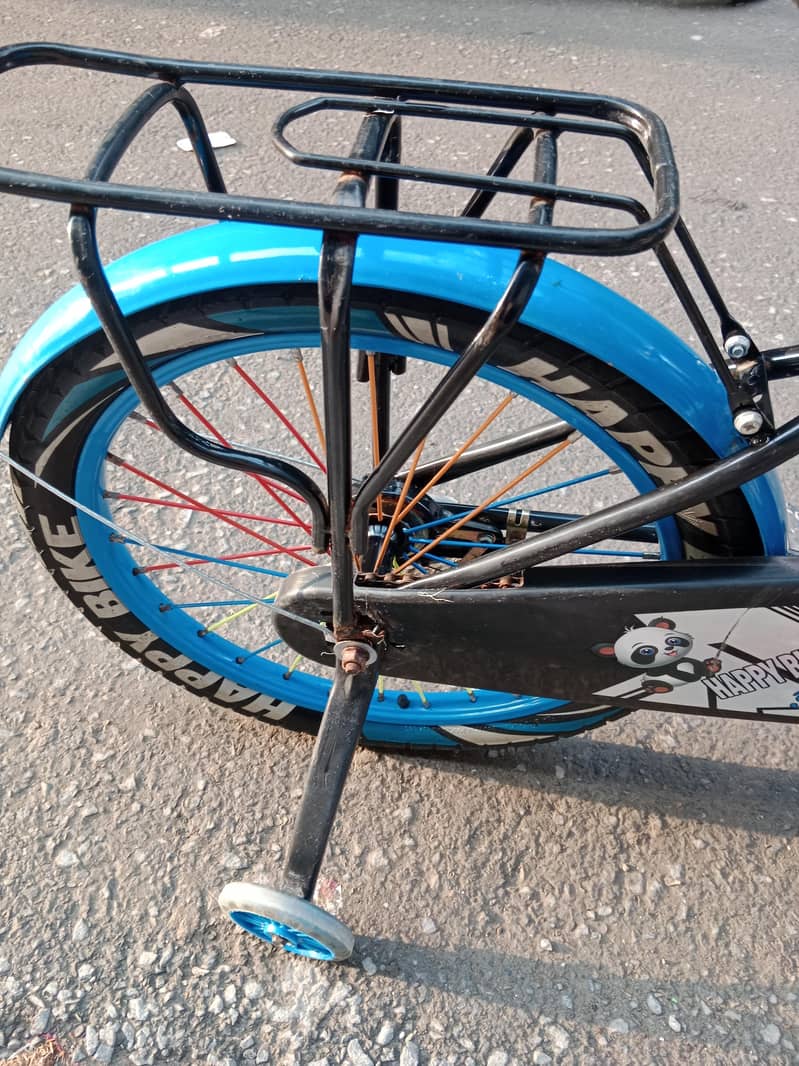 new biycycle 2