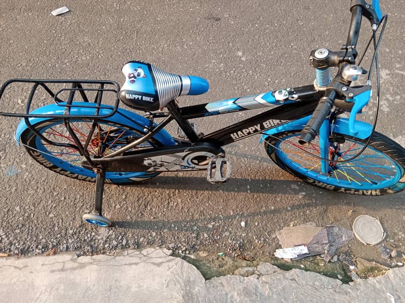 new biycycle 3