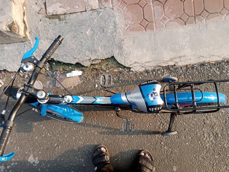 new biycycle 5