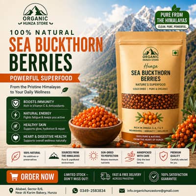 Hunza Sea Buckthorn Berries & Premium Dry Fruits – Direct from Hunza V