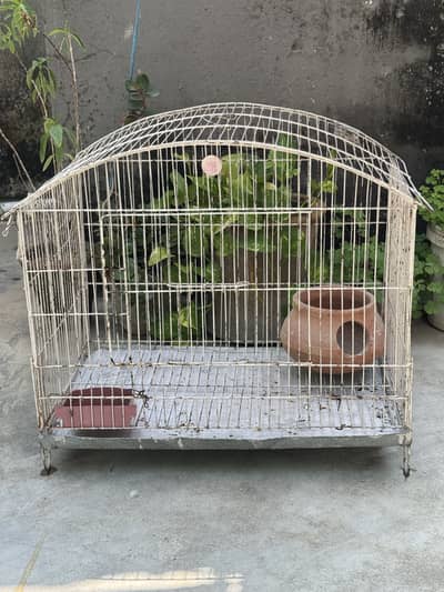 Parrot cage