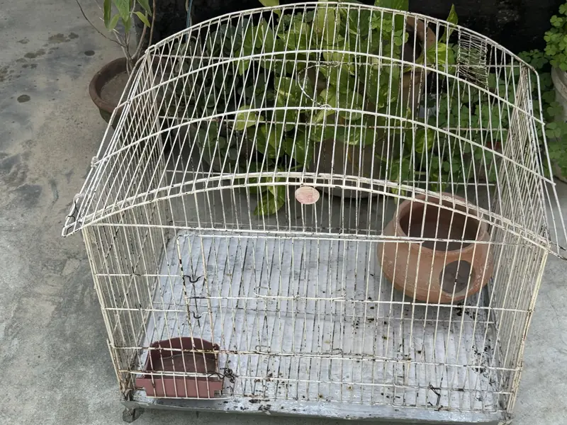 Parrot cage — photo 2