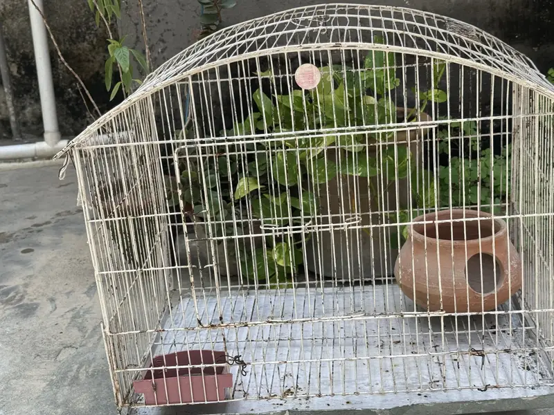 Parrot cage — photo 3