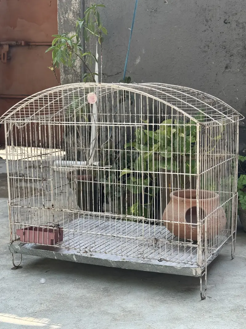 Parrot cage — photo 4