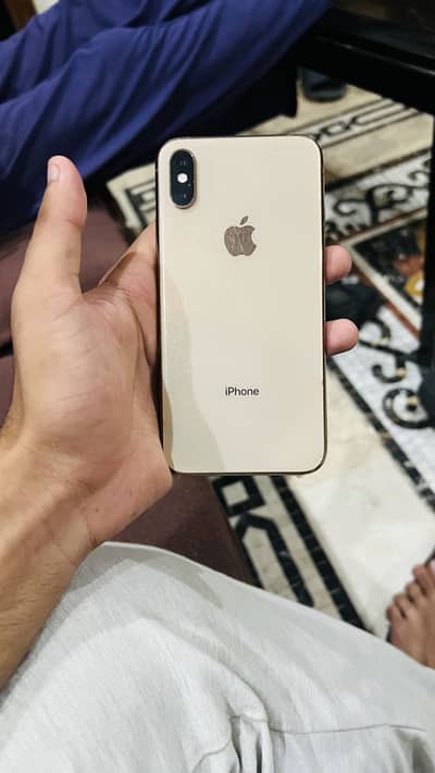 Apple iPhone XS Dual Pta approved