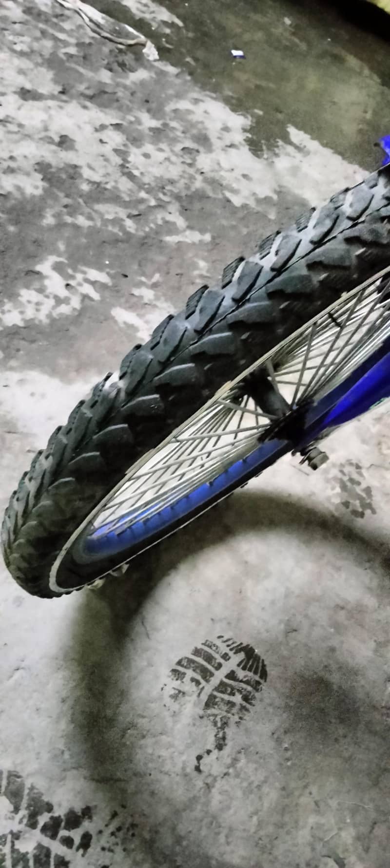 cycle medium size 6