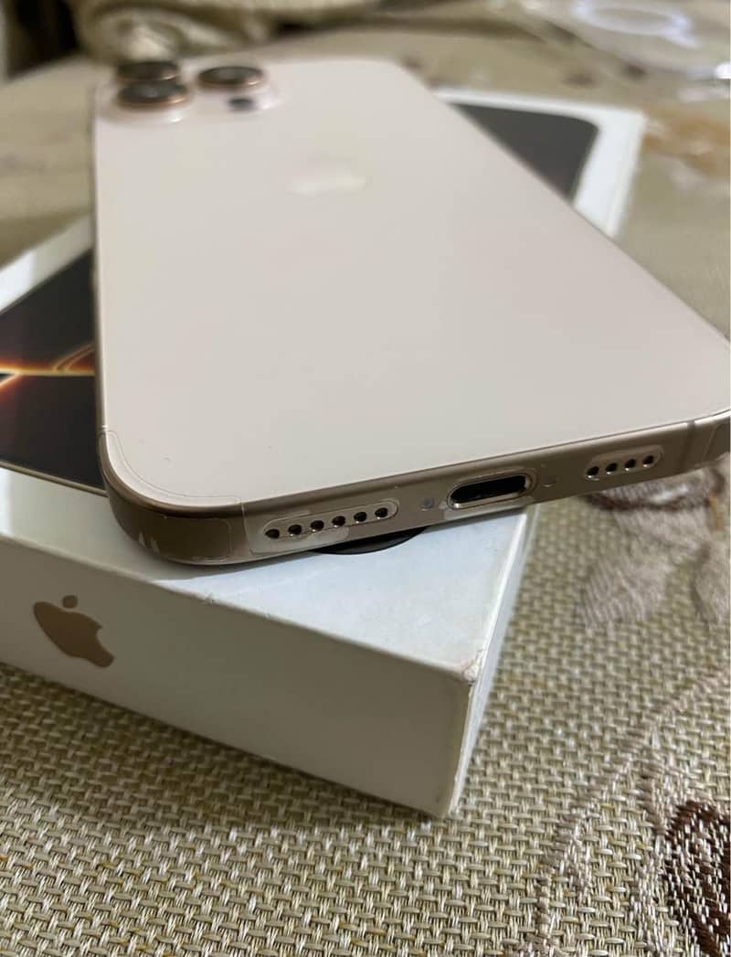 Apple iPhone 16 Pro Max 1