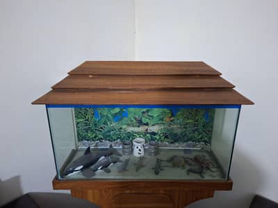 Fish  Aquarium