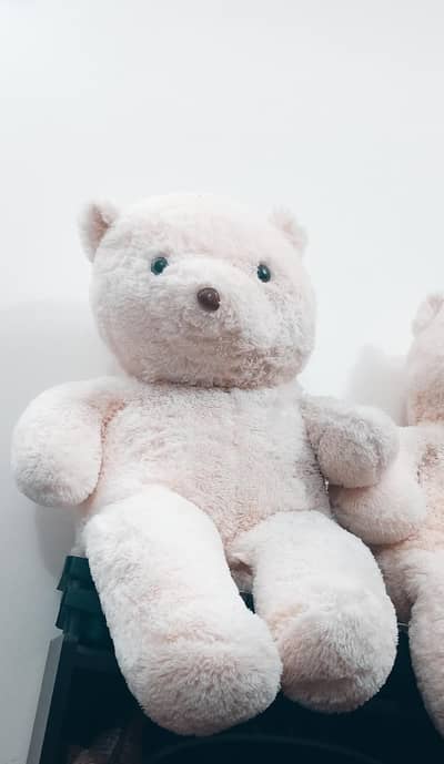Teddy bear