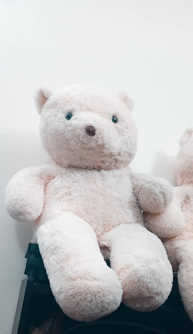 Teddy bear 0