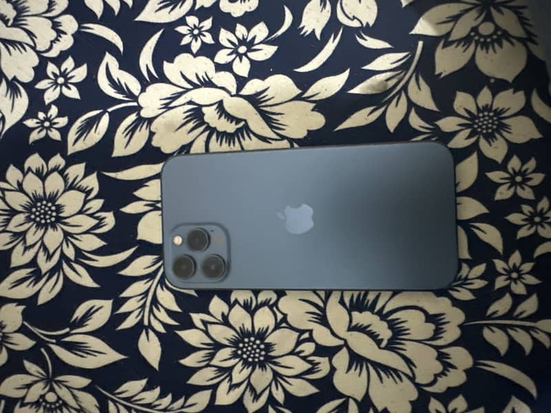 Apple iPhone 12 Pro Max 0
