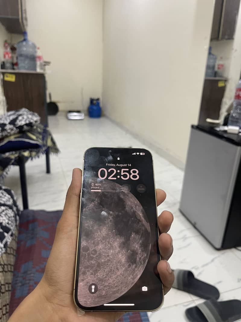 Apple iPhone 13 Pro Max 1