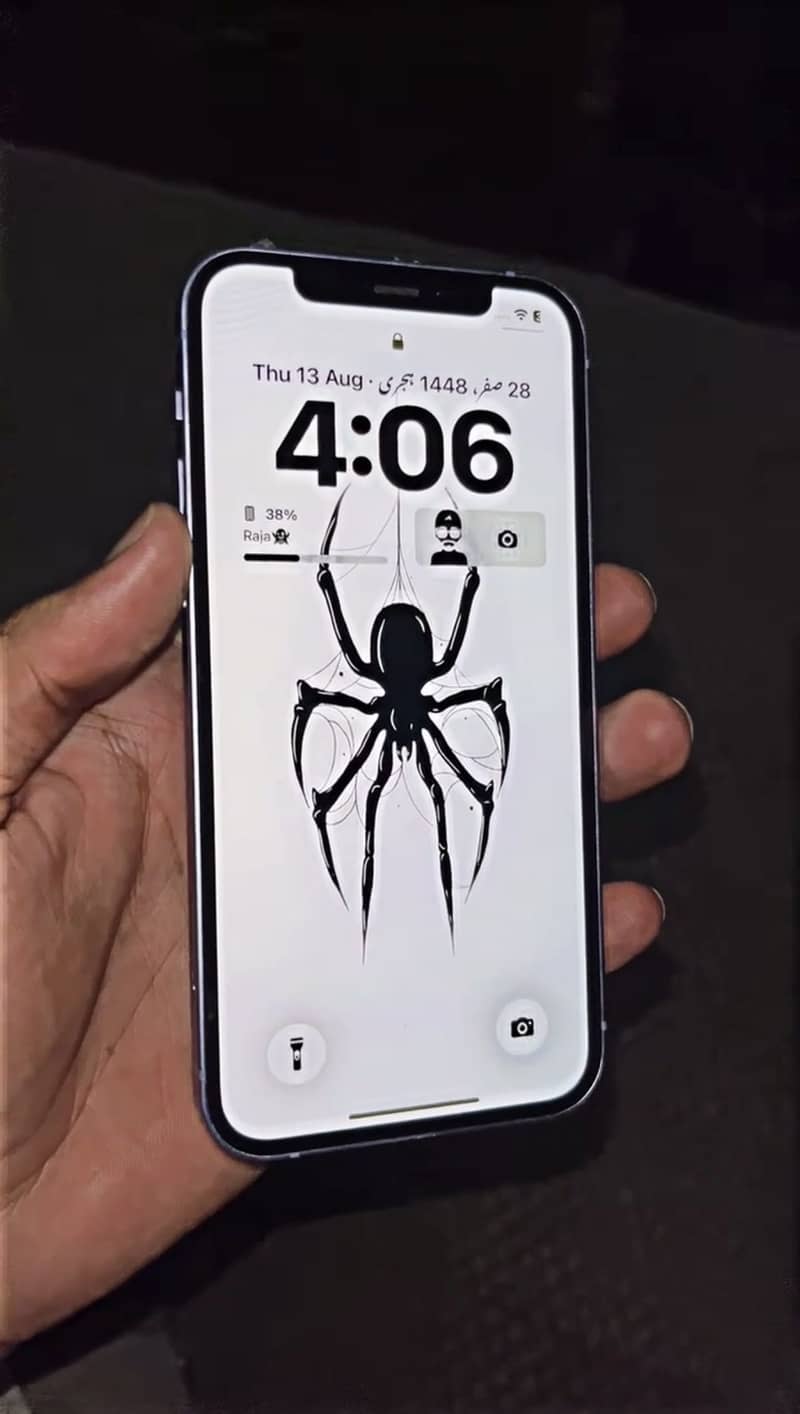 Apple iPhone 12 2