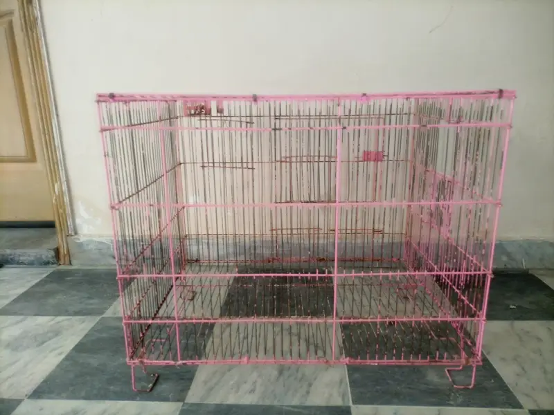 Double door double breeder box Cage — photo 2
