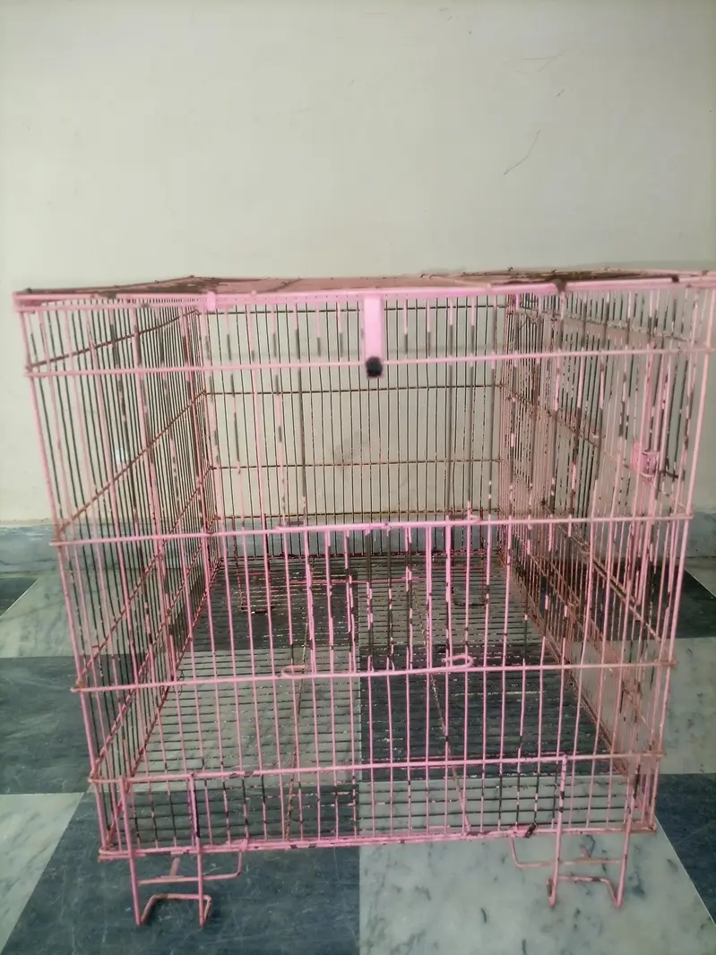 Double door double breeder box Cage — photo 3