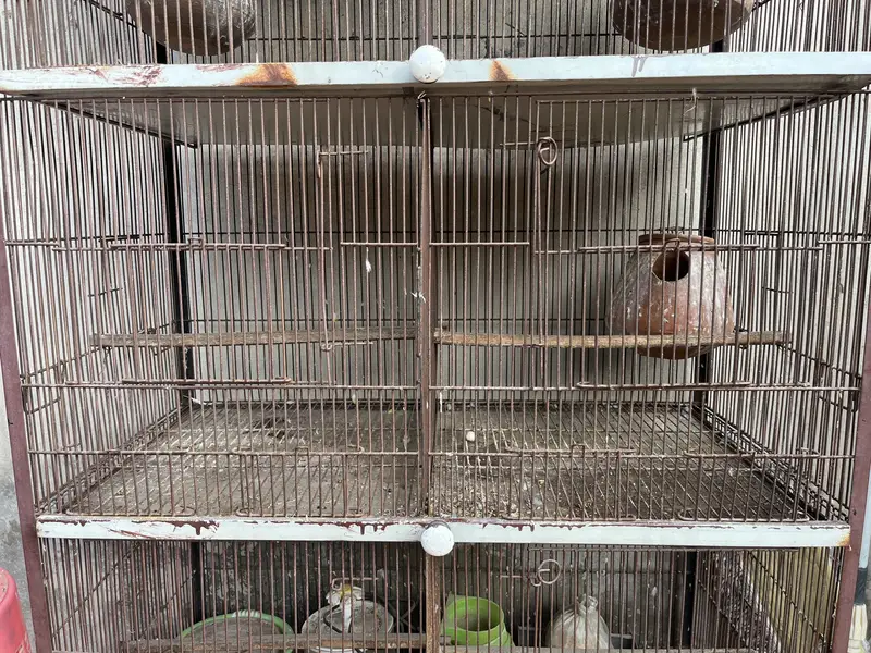 Cage for sale — photo 2