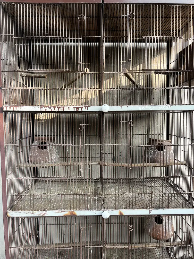 Cage for sale — photo 3
