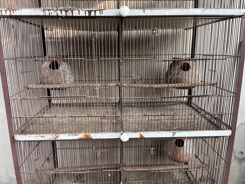 Cage for sale — photo 4
