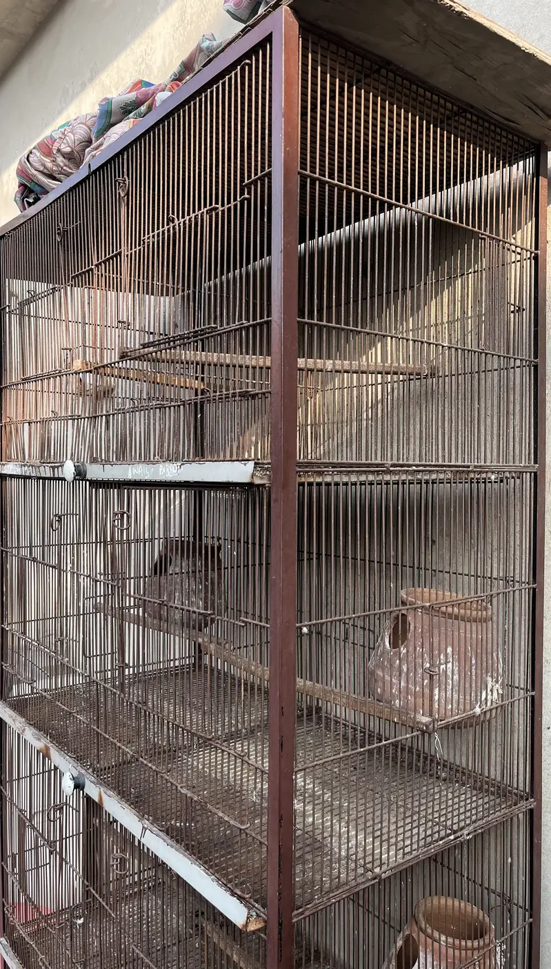 Cage for sale — photo 5