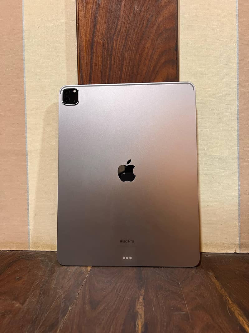 ipad m2 pro 12.9 inch 1