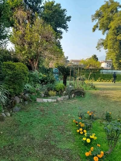 Ambassador-Level house fully furnished for foreigners