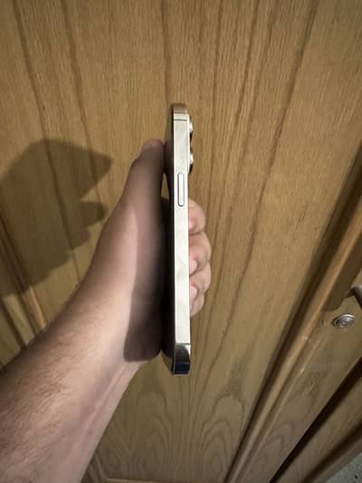 Apple iPhone 14 Pro