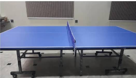 TABLE TENNIS