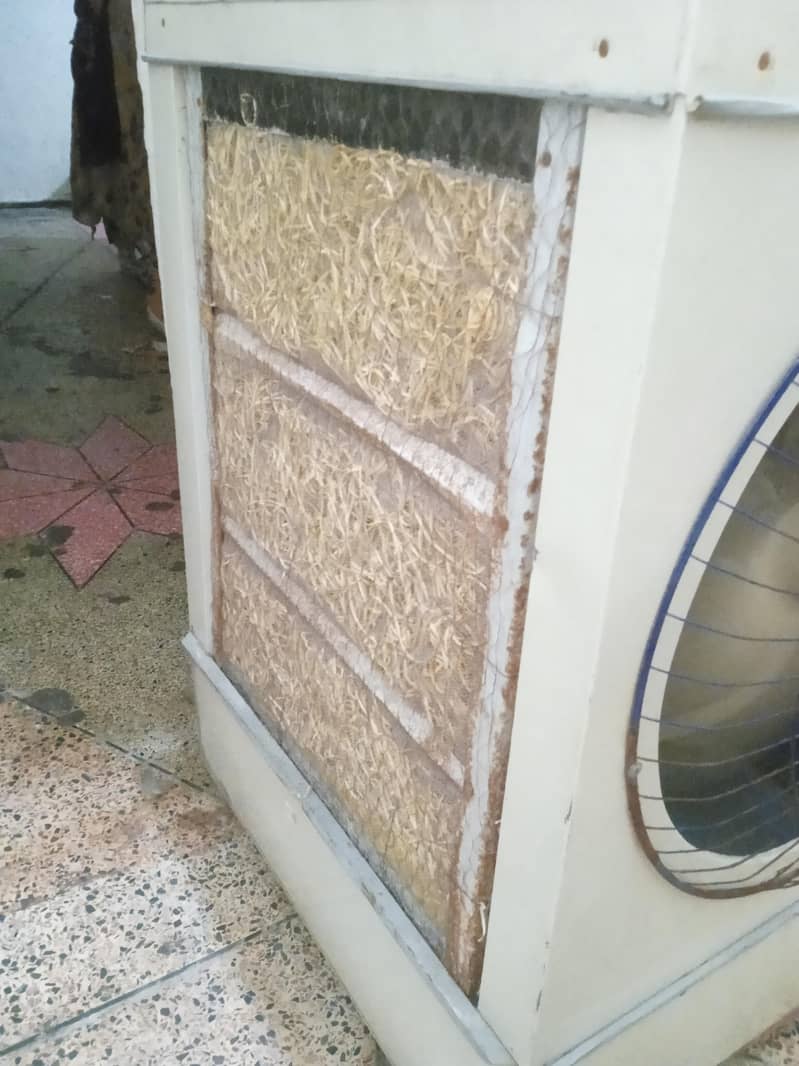 Lahori Cooler 1
