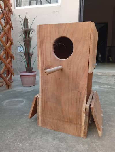 raw breeding box