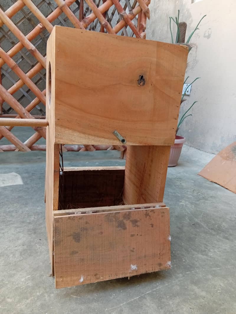 raw breeding box 1