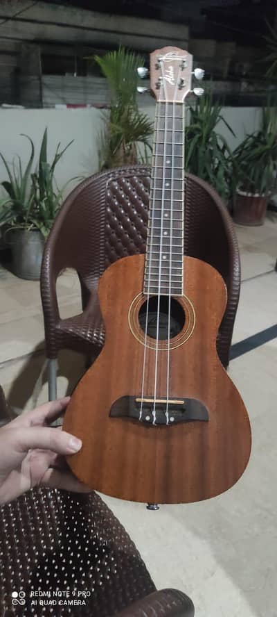 Guitar