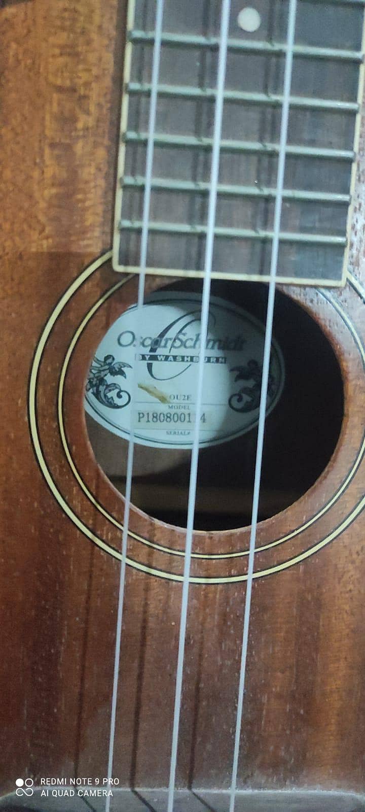 Guitar 5