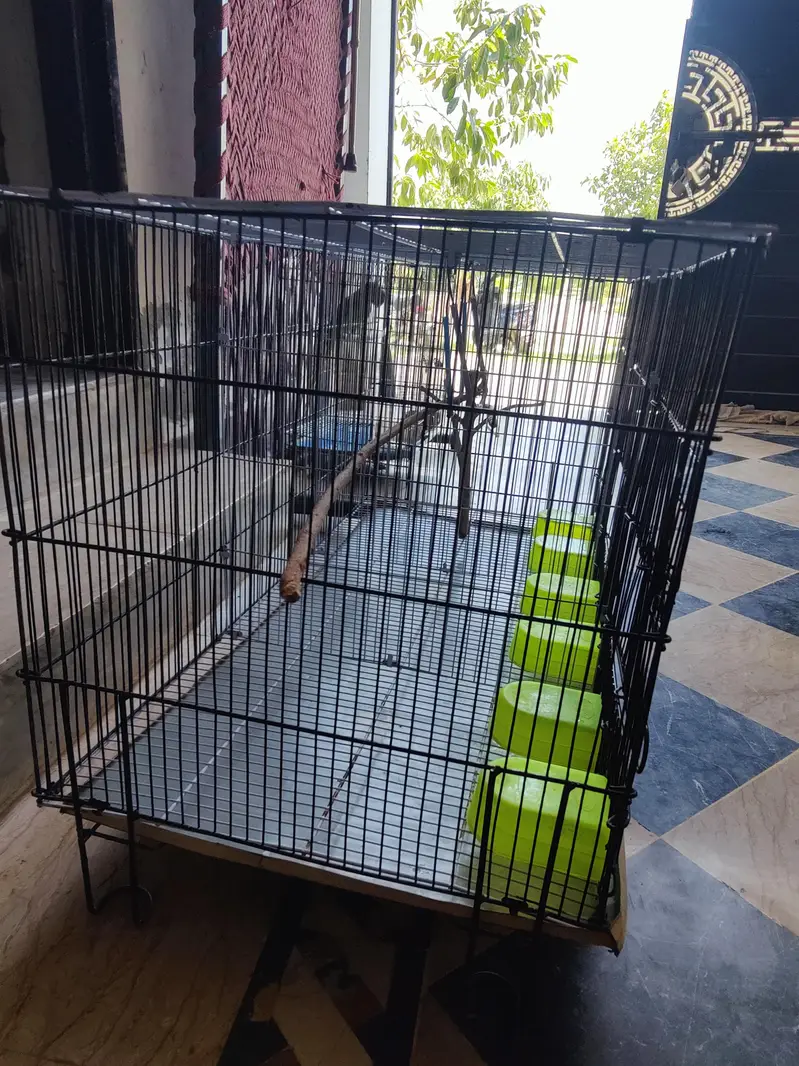 3 portion cage for sell & small cage for ssle — photo 4