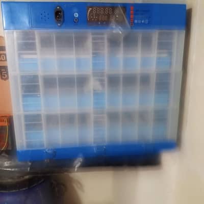 192 eggs incubator all okay results 99% ha
