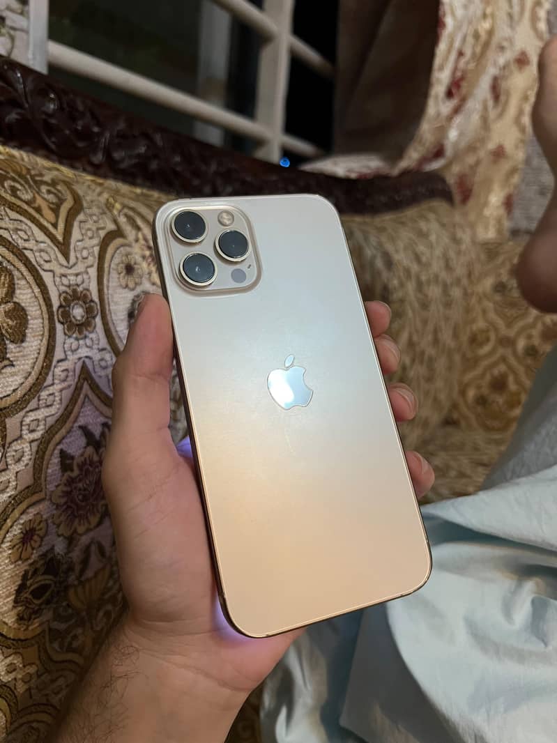 Apple iPhone 12 Pro Max 0
