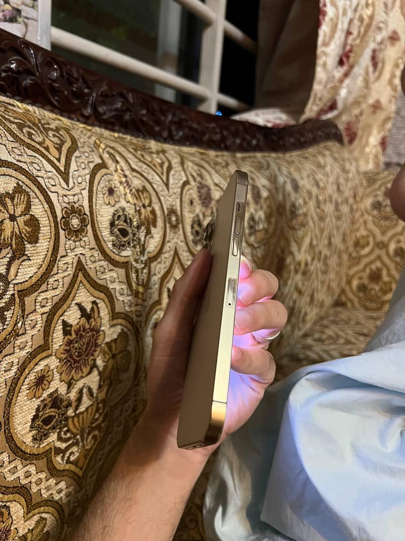Apple iPhone 12 Pro Max 1
