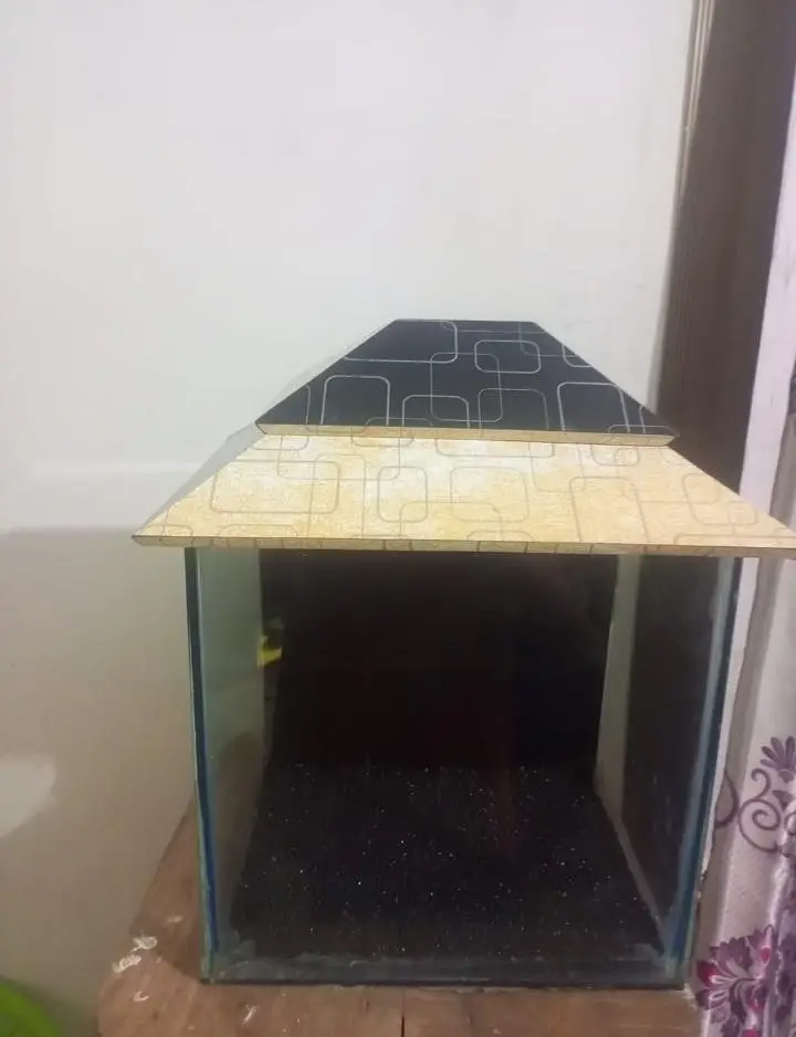 FISHES AND AQUARIUMS FOR SELL !!! — photo 7