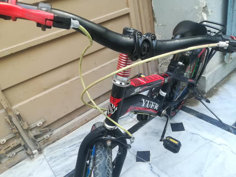 bicycle 2