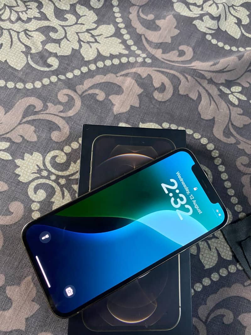 Apple iPhone 12 Pro 1