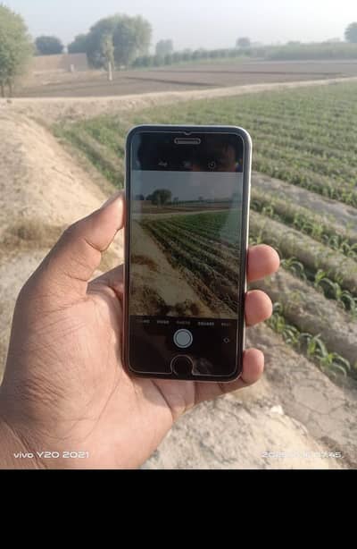 Apple iPhone 6S