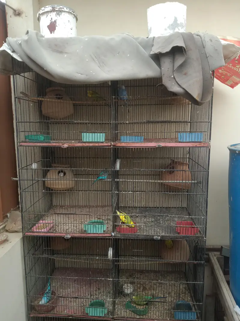 8 Portion cage (Pinjra) agr chahiye to poora setup bhi dedunga — photo 2