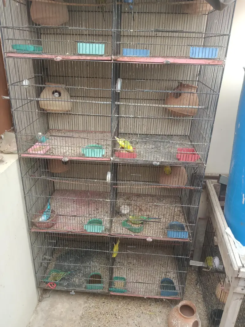 8 Portion cage (Pinjra) agr chahiye to poora setup bhi dedunga — photo 7