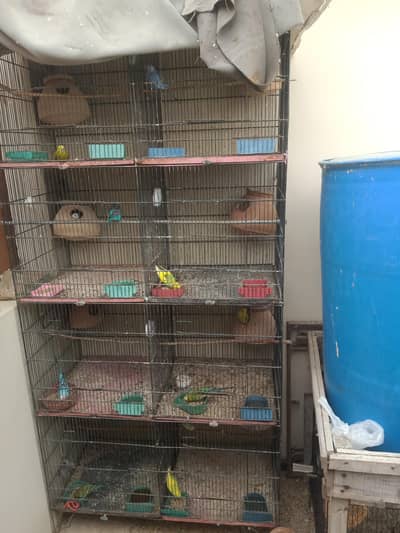 8 portion cage (pinjra) or agr chahiye to pura setup bhi sale krdunga