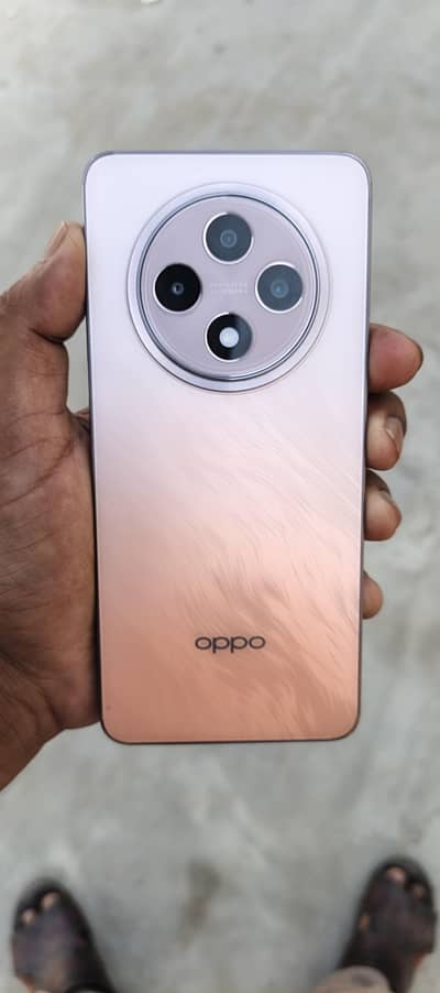 OPPO RENO 12F G 12/256